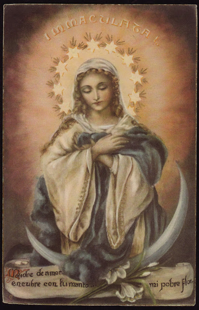 immaculataAssumpcion